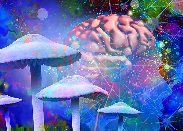 Die Wirkung von Psilocybin aus psychedelischen Pilzen auf das Gehirn Pilze vor einem Gehirn vor einem übermäßig bunten Sternenhimmel