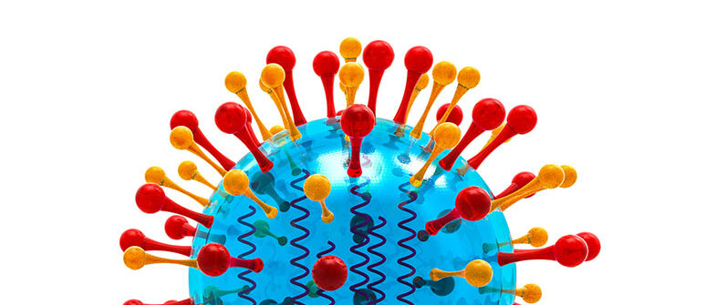 Ein Modell eines Coronavirus aus transparentem Kunststoff: Im kugelförmigen Körper befindet sich spiralförmiges Erbgut. Außen sitzen Spike-Proteine als dünne Stäbe mit knubbeligen Köpfen.