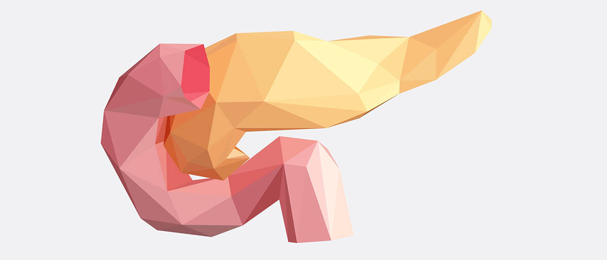Geometrische Illustration einer Bauchspeicheldrüse aus Polyedern