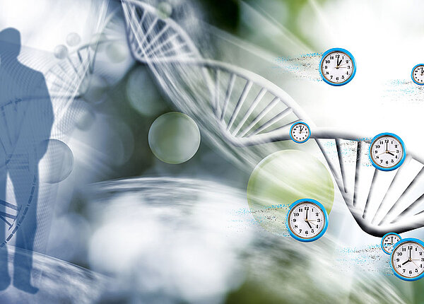 Eine Familie links am Bildrand, in der Mitte die DANN-Doppelhelix und rechts verschiedene Uhren