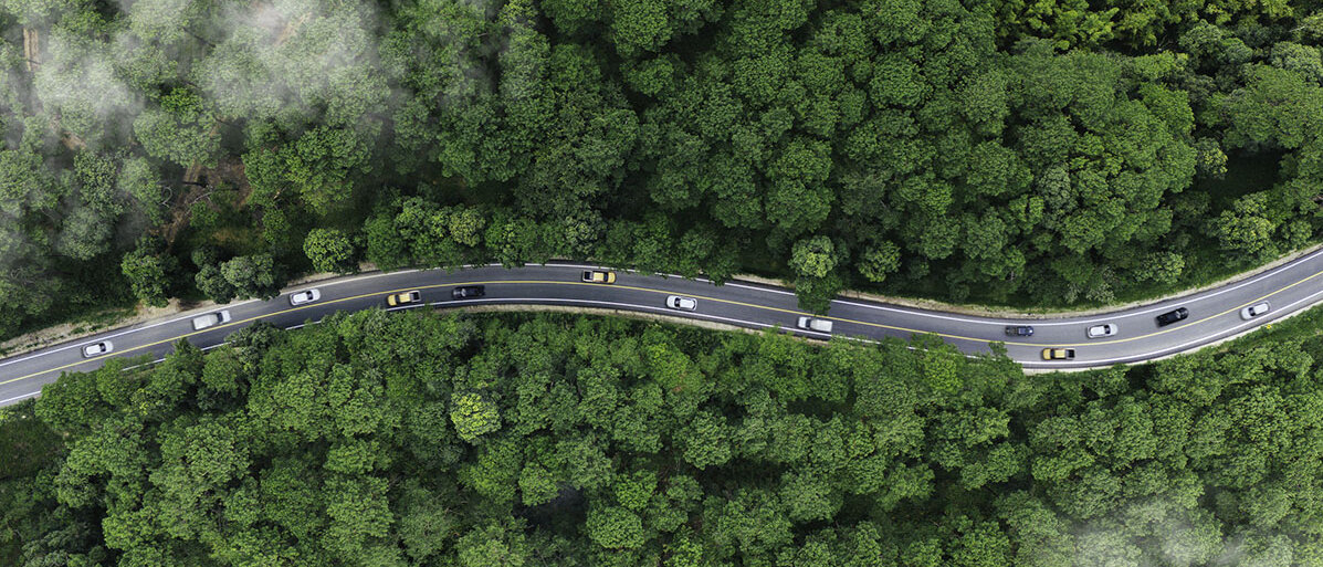 Elektroautos verbessern Luftqualität E-Autos auf der Straße inmitten von Wald und Natur