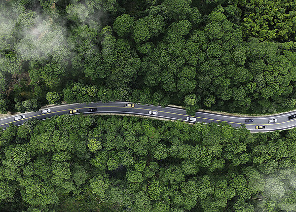 Elektroautos verbessern Luftqualität E-Autos auf der Straße inmitten von Wald und Natur