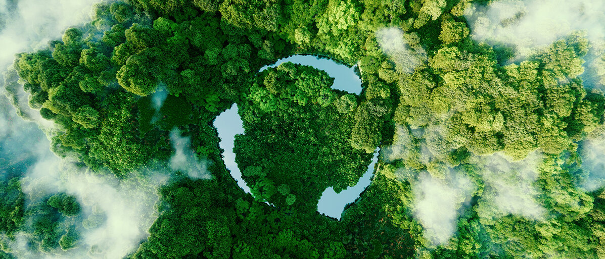 ein Wald aus der Vogelperspektive, Flüsse bilden ein Recycling-Symbol