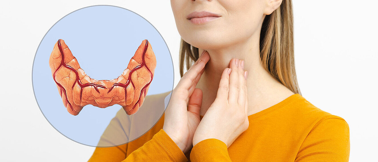 Frau berührt sich selbst den Hals, um die Schilddrüse zu überprüfen. Links nebendran ist eine Schilddrüse in einem Kreis abgebildet