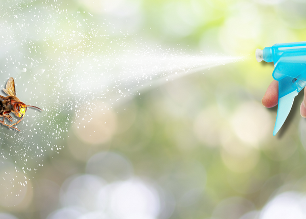 Wespen abhalten Flasche sprüht Wassernebel auf Wespe