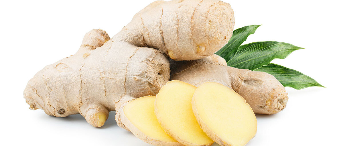 Ingwerknollen mit gruenen Blaettern und davor ausgeschnittener Ingwer