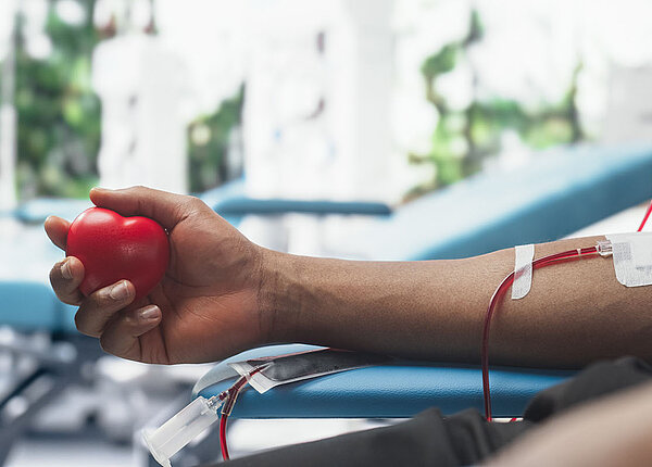 Blutspenden nach Infekten Arm eines Mannes, der ein rotes Herz in der Hand hält, bekommt Blut abgenommen.