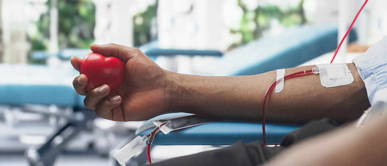 Blutspenden nach Infekten Arm eines Mannes, der ein rotes Herz in der Hand hält, bekommt Blut abgenommen.