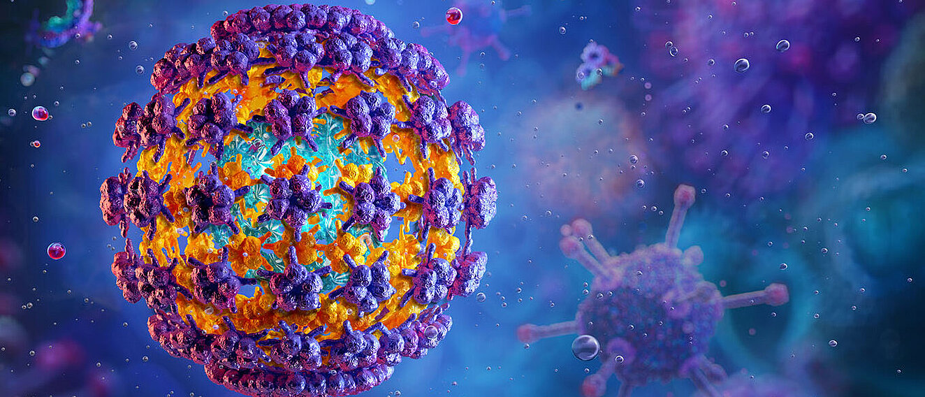 Graphische Darstellung eines HPV Virus