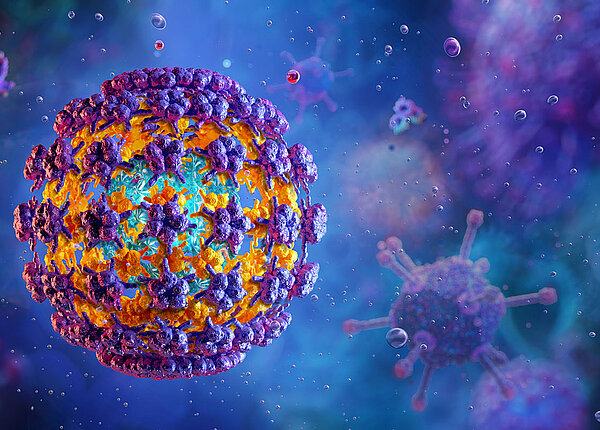 Einige HPV-Viren begünstigen Krebs Graphische Darstellung eines HPV Virus