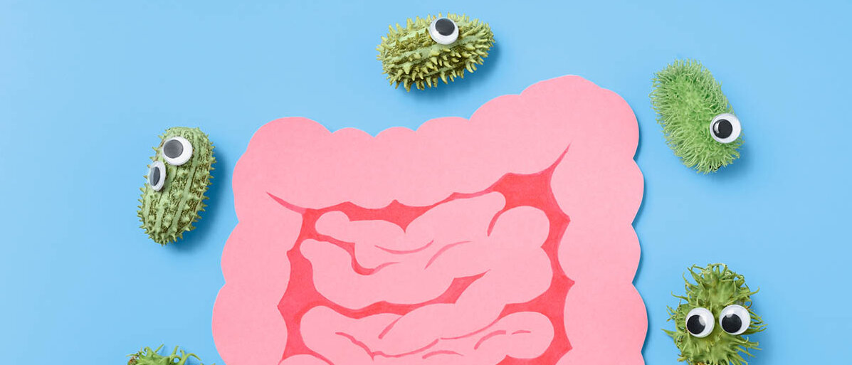 Um einen Papierschnitt des Darms herum liegen stachlige Früchte mit Wackelaugen, die Bakterien darstellen sollen.