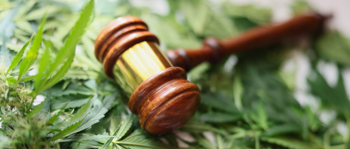 Richterhammer liegt auf Cannabisblättern