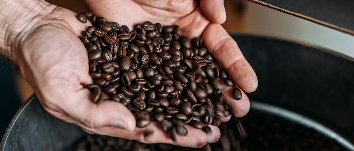 Kaffeebohnen in der Hand eines Arbeiters
