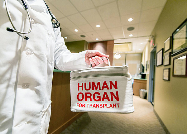 Eine Person in weißem Kittel und mit Stethoskop steht in einem Klinik-Flur. Sie hält eine Kühltasche in der Hand mit der Aufschrift „Human Organ for Transplant“, also Menschliches Organ zur Transplantation.