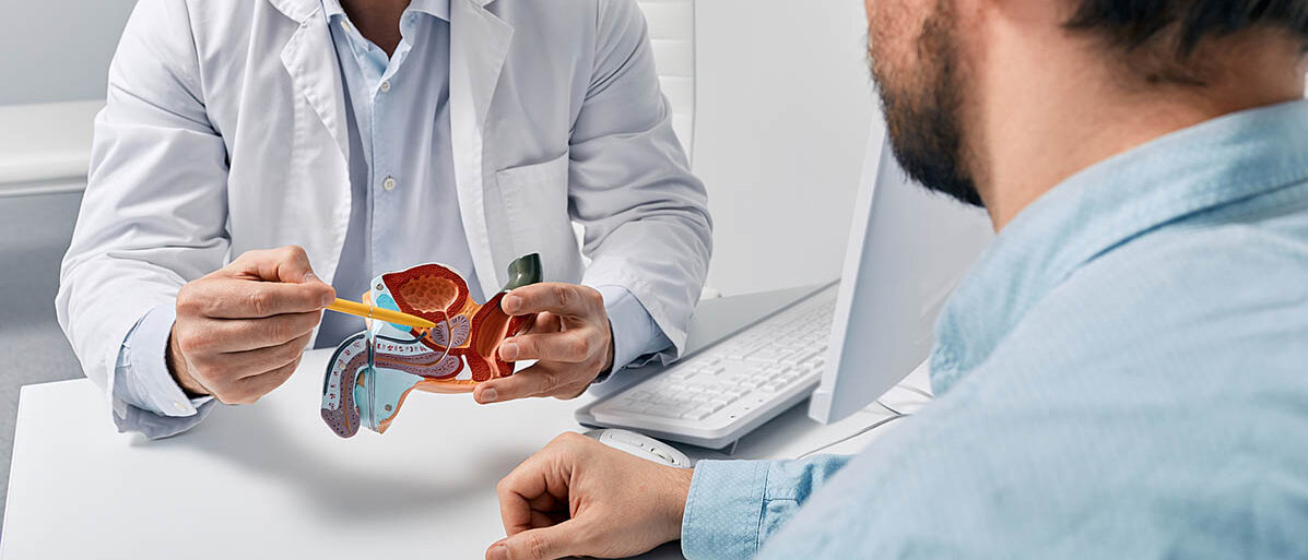 Ein Patient im Gespräch mit einem Urologen: Der Arzt erklärt etwas anhand eines Modells des Penis, der Blase und der Prostata.