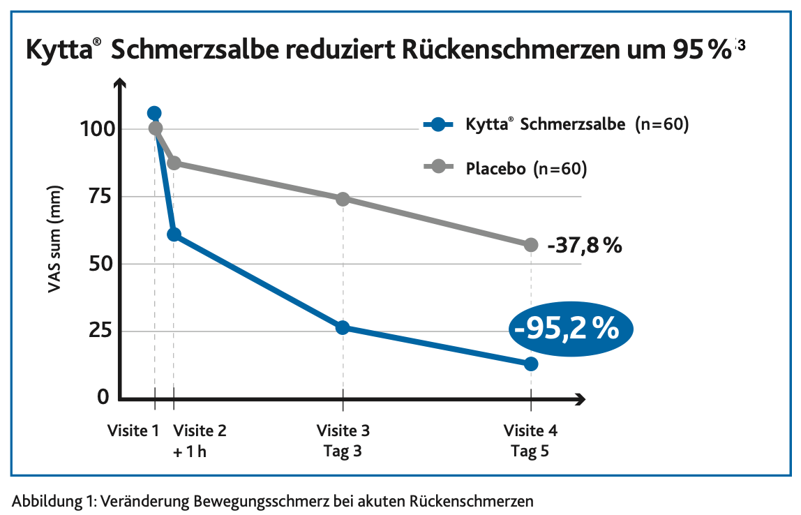 Kytta Grafik Bewegungsschmerz
