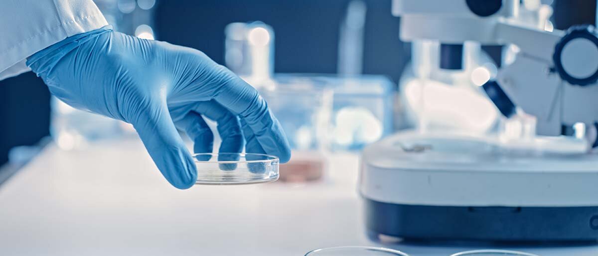 Ein Labortisch, auf dem ein Mikroskop steht. Eine behandschuhte Hand stellt eine Petrischale, in der auf einem Nährboden etwas Blaues wächst, neben weitere Petrischalen.