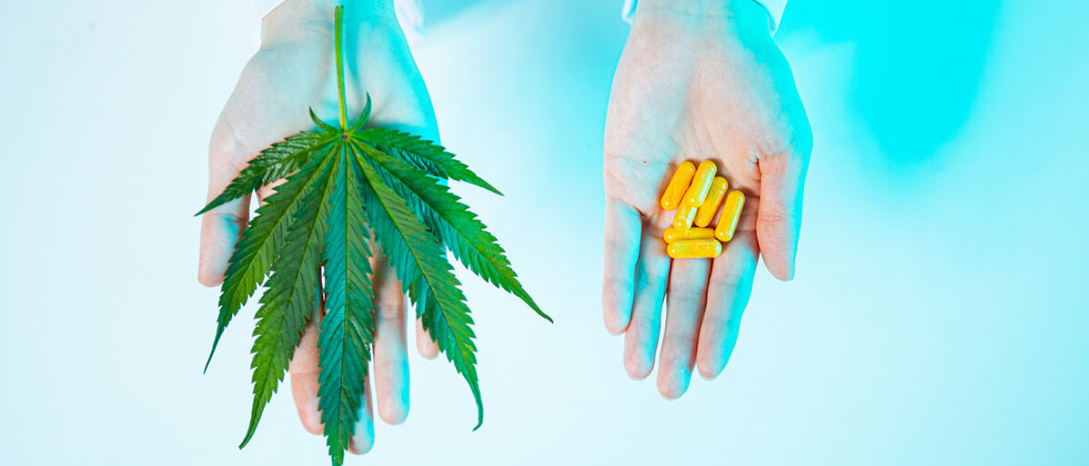 Cannabisblatt und CBD-Kapseln in menschlichen Händen. 