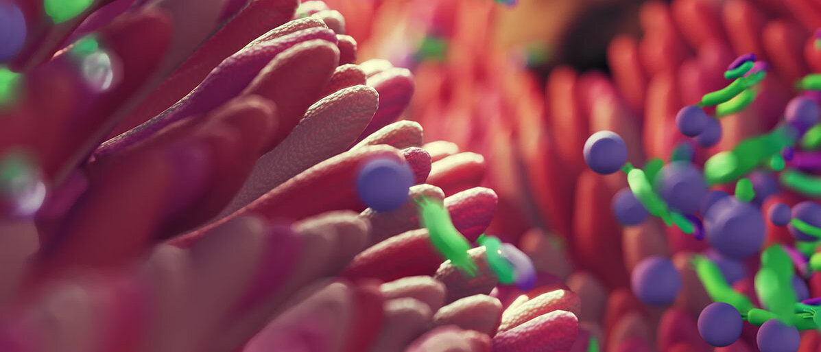 3D-Illustration: Mikrobiota im Darm 