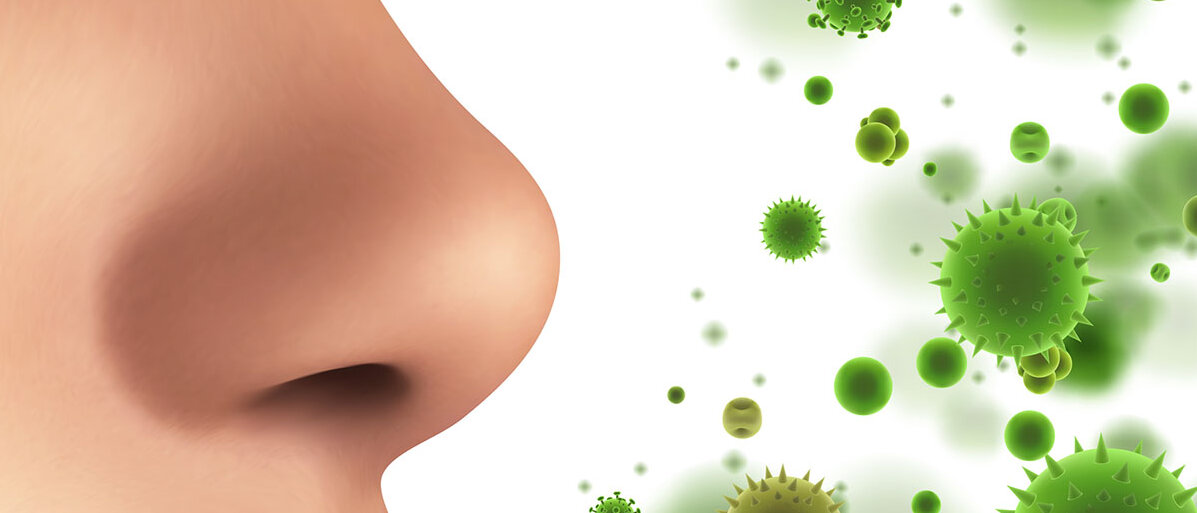 Abbildung der Nase und vorne dran sind grüne Bakterien, Pollen zu sehen