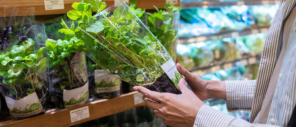 Frische Kräuter aus dem Supermarkt Frau im Supermarkt vor Kräuterregal it Topf in der Hand