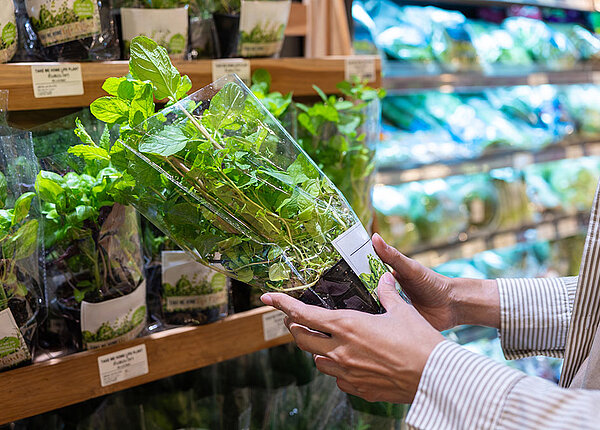 Frische Kräuter aus dem Supermarkt Frau im Supermarkt vor Kräuterregal it Topf in der Hand