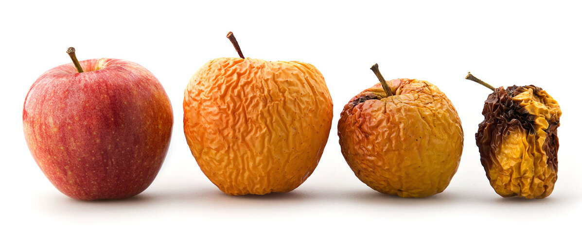 Vier unterschiedlich alte Äpfel nebeneinander 