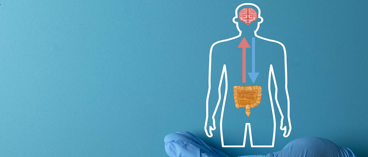 Parkinson-Medikament als Ursache für Eisenmangel: Wie Entacapon gegen Parkinson mit dem Darmmikrobiom und Eisenwerten zusammenhängt. Auf einer Hand in blauen Nitrilhandschuhen steht der Umriss eines Menschen, in dem Gehirn und Darm hervorgehoben sind und in Wechselwirkung stehen.