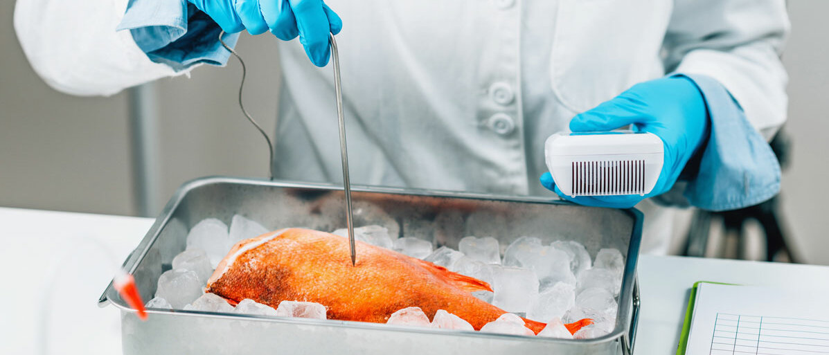 Ein Forscher misst mit einer Sonde die Schwermetallkonzentration in einem Fisch.