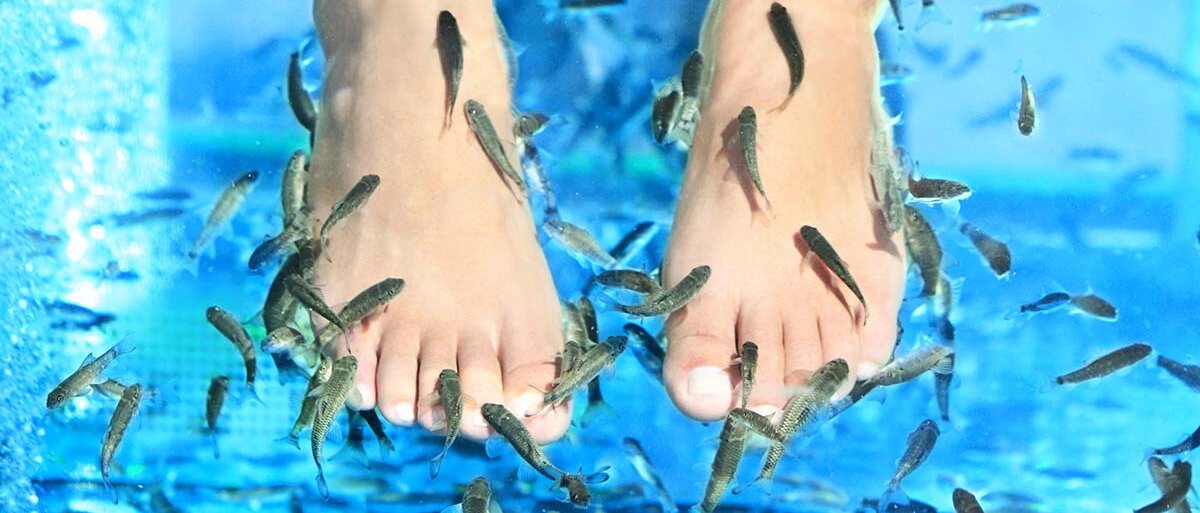 Fische und Füße in blauem Wasser