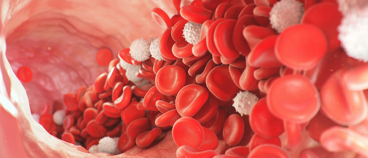 rote und weiße Blutkörperchen