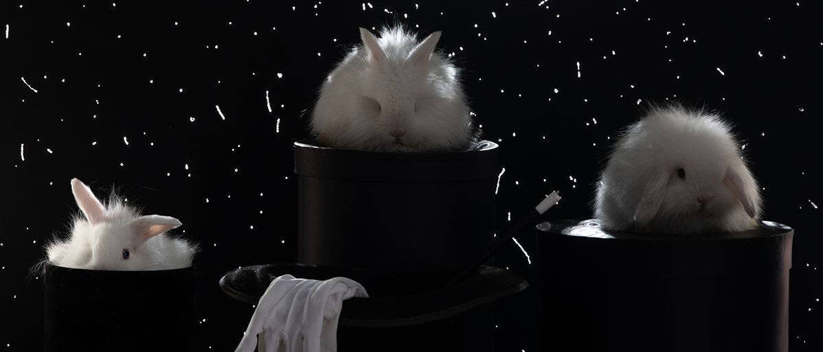 Auf oder in schwarzen Zylindern sitzen drei weiße Kaninchen. Ein Paar weiße Handschuhe hängt über einem der Zylinder.