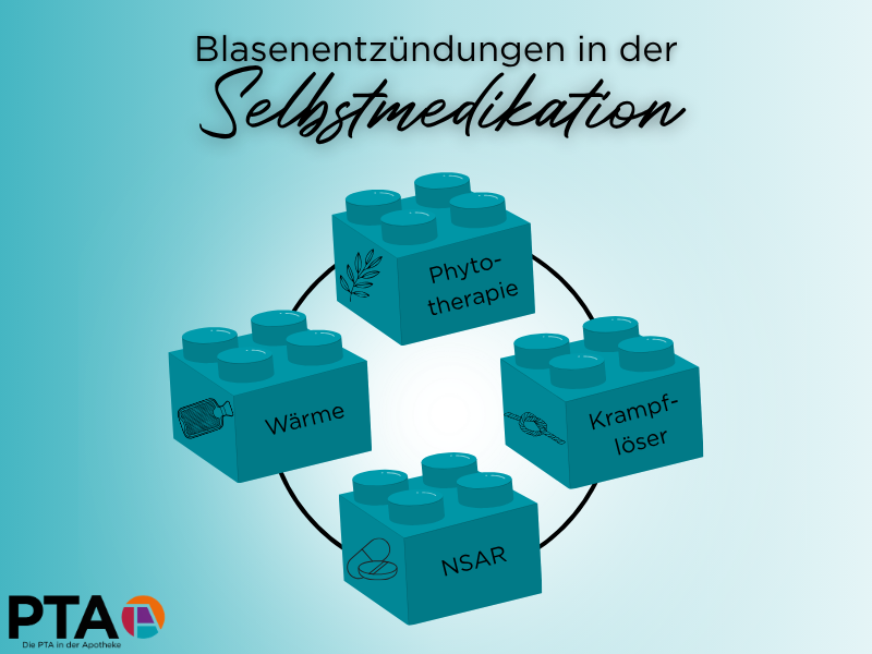 Schaubild zeigt 4 Bausteine mit den Beschriftungen „Phytotherapie“, „Wärme“, „Krampflöser“ und „NSAR“.