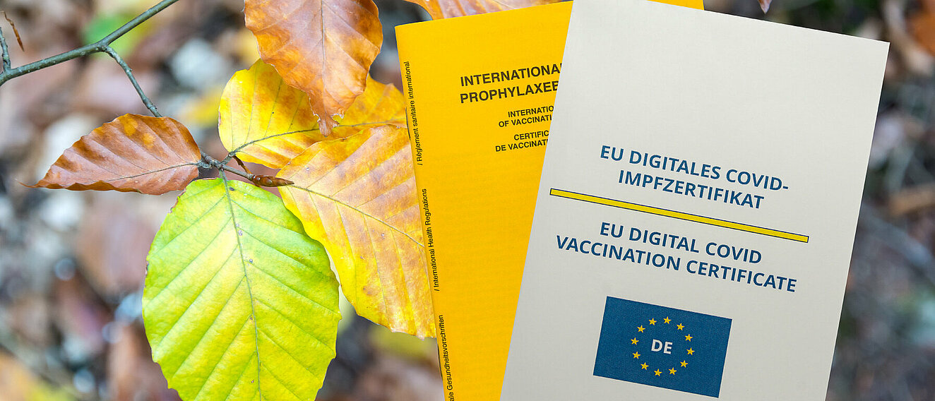 Impfpass und EU-Covid-Impfzertifikat