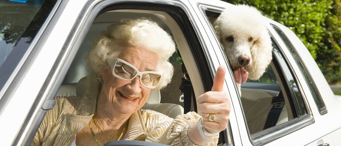Frau mit Hund im Auto