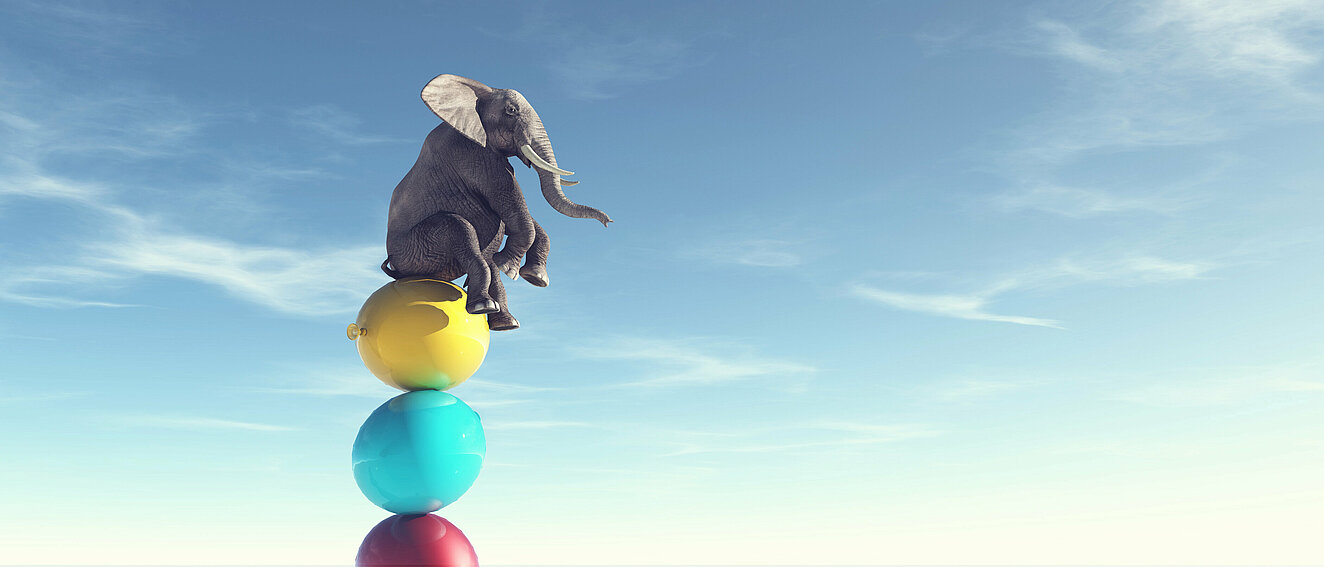 Elefant auf Luftballons.