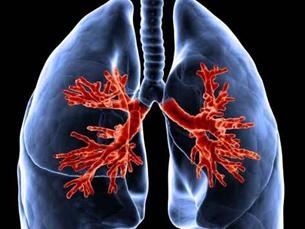 © Mopic / fotolia.com