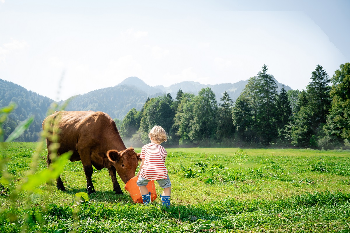 Kuh steht auf der Wiese. © Bencard Allergie / Tom Schlegel