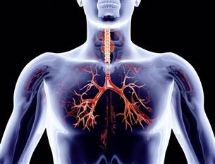 Lunge © Spectral-Design / fotolia.com