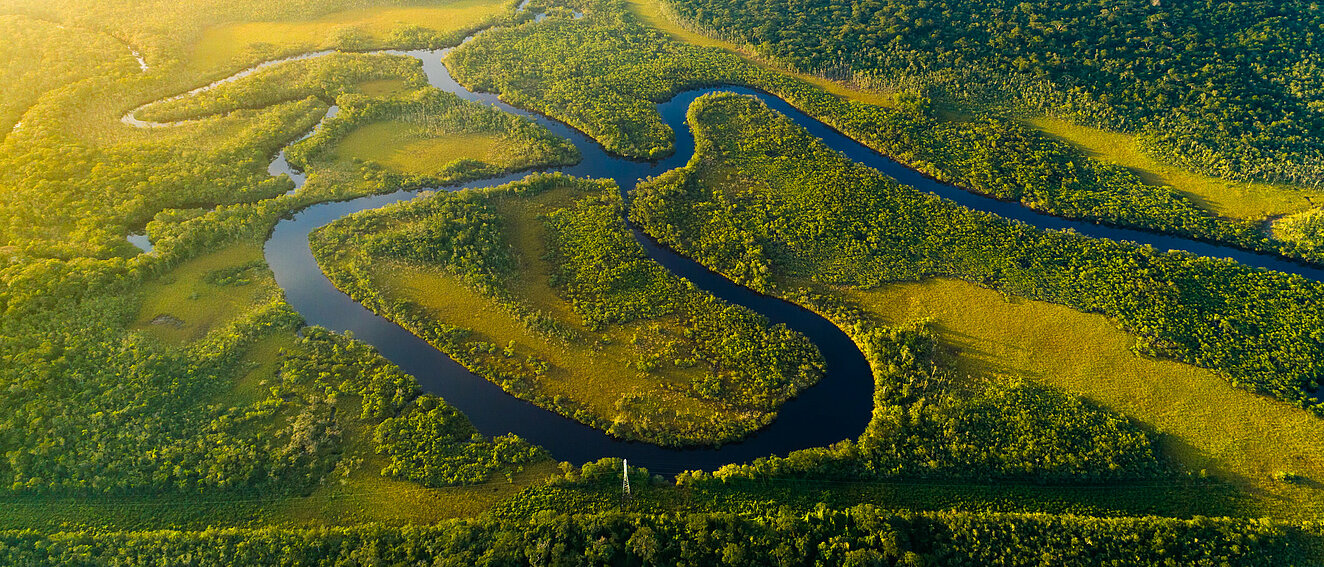 Habitatverluste Der Amazonas von oben