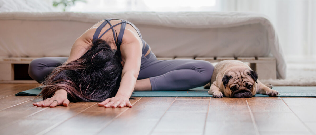 Heimübungen Eine Frau macht Dehnübungen, begleitet von ihrem Hund.