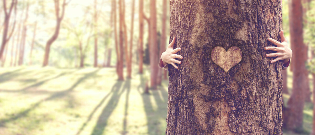 Ein Baum, der von hinten umarmt wird. In der Rinde ist ein Herz geschnitzt.