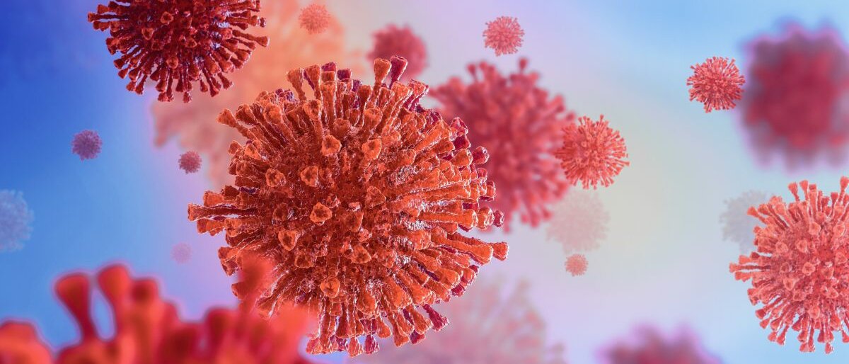 Grafische Darstellung des Coronavirus