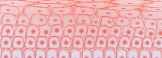 © Benjamin Toth / iStock / Getty Images