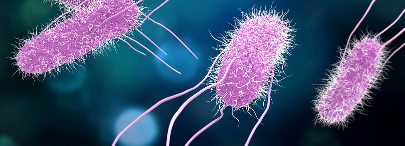 Bakterien © urfinguss / iStock / Getty Images