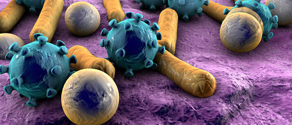 Mikrobiota © Dr_Microbe / iStock / Thinkstock