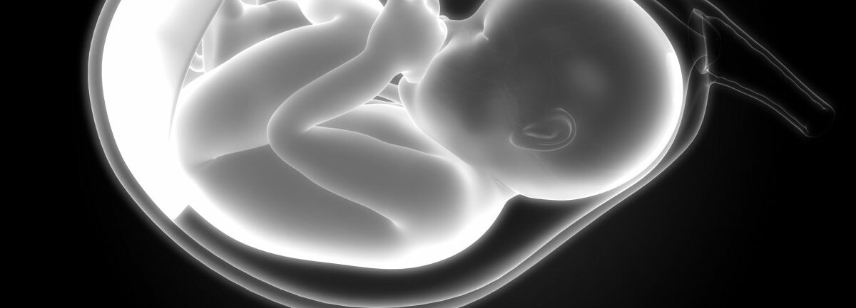 Grafische Darstellung eines Fötus in der Fruchtblase.