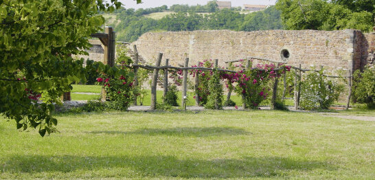 Garten © Meißner Hahnemann-Zentrum e.V.