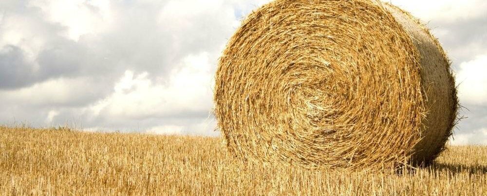 Strohballen © Rikke Breiting / 123rf.com