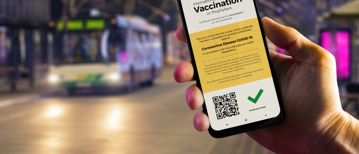 Grüner Pass Auf einem Smartphone steht das Word "Vaccination", man sieht einen grünen Haken und einen QR-Code.